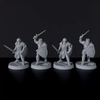 Fantasy miniatures of knights with swords and shields Sanctum Crusaders - dedicated set to army for Bloodfields