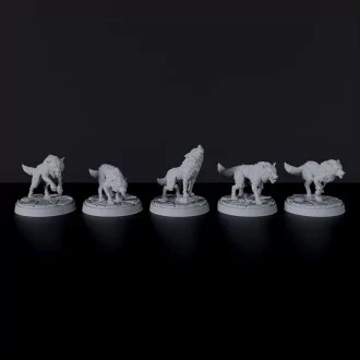 Pack of Wolfs