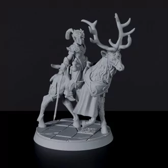 Dedicated set for Bloodfields Redleaf Elves army - fantasy miniature of female elf warrior Paradash Sundrop on deer