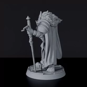 Fantasy miniature of Pristinus Silvermane lion knight with sword and dragon head for Bloodfields tabletop RPG game