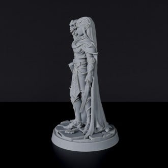 Miniature of Elf Female Sorcerer with sword, tome and skull - dedicated fantasy set for tabletop RPG games and collectors