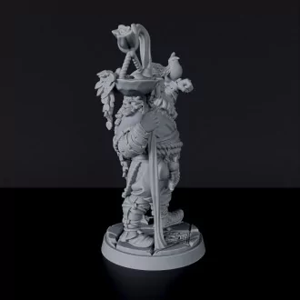 Dedicated set for fantasy tabletop RPG army - Half-Giant Male Druid sorcerer miniature with staff and bird